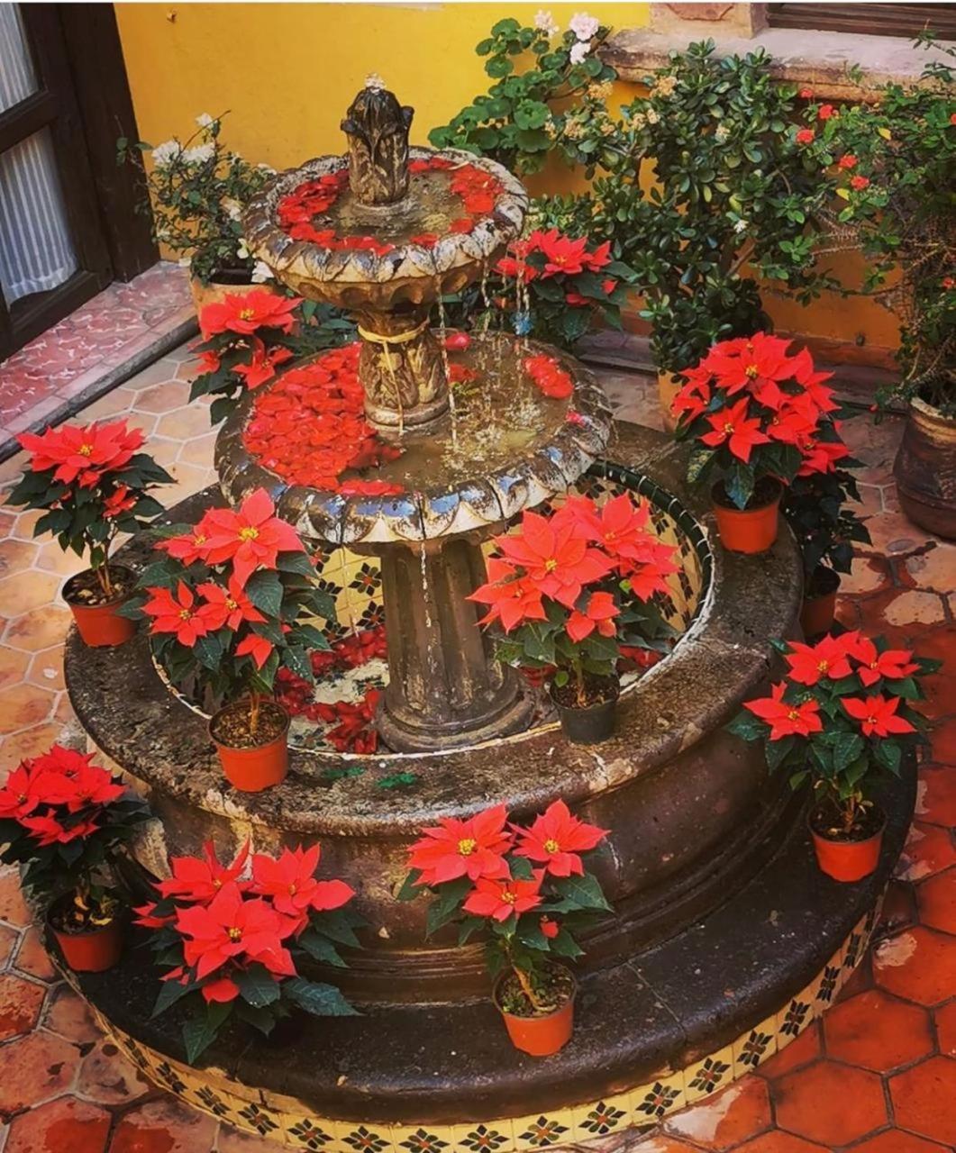 Casa Rosario Centro Hotell San Miguel de Allende Exteriör bild